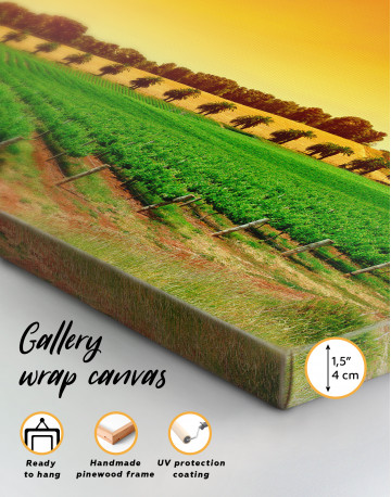 Panoramic Grape Fields Canvas Wall Art - image 1