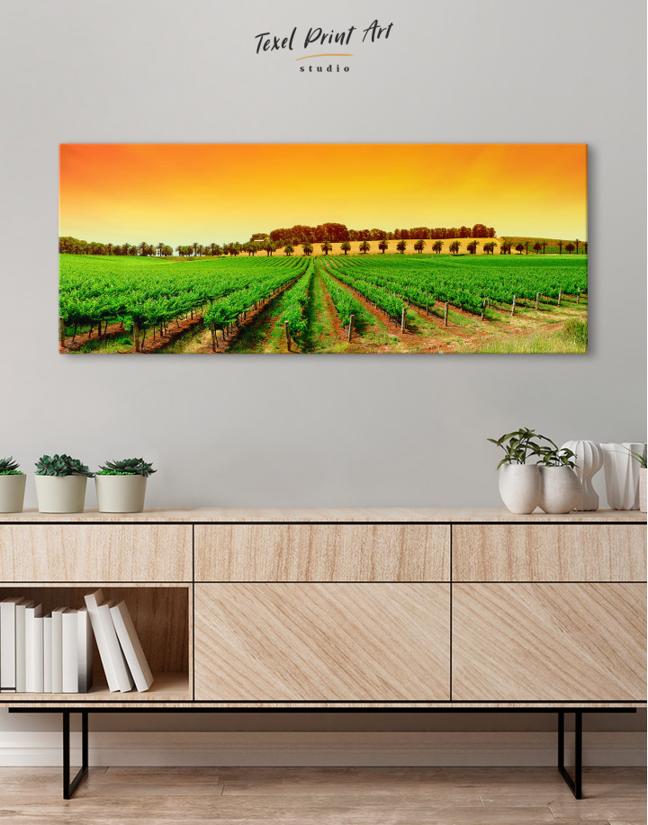 Panoramic Grape Fields Canvas Wall Art