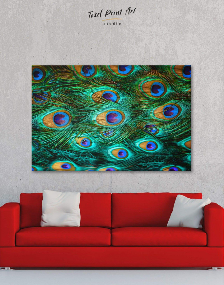 Peacock Feathers Canvas Wall Art