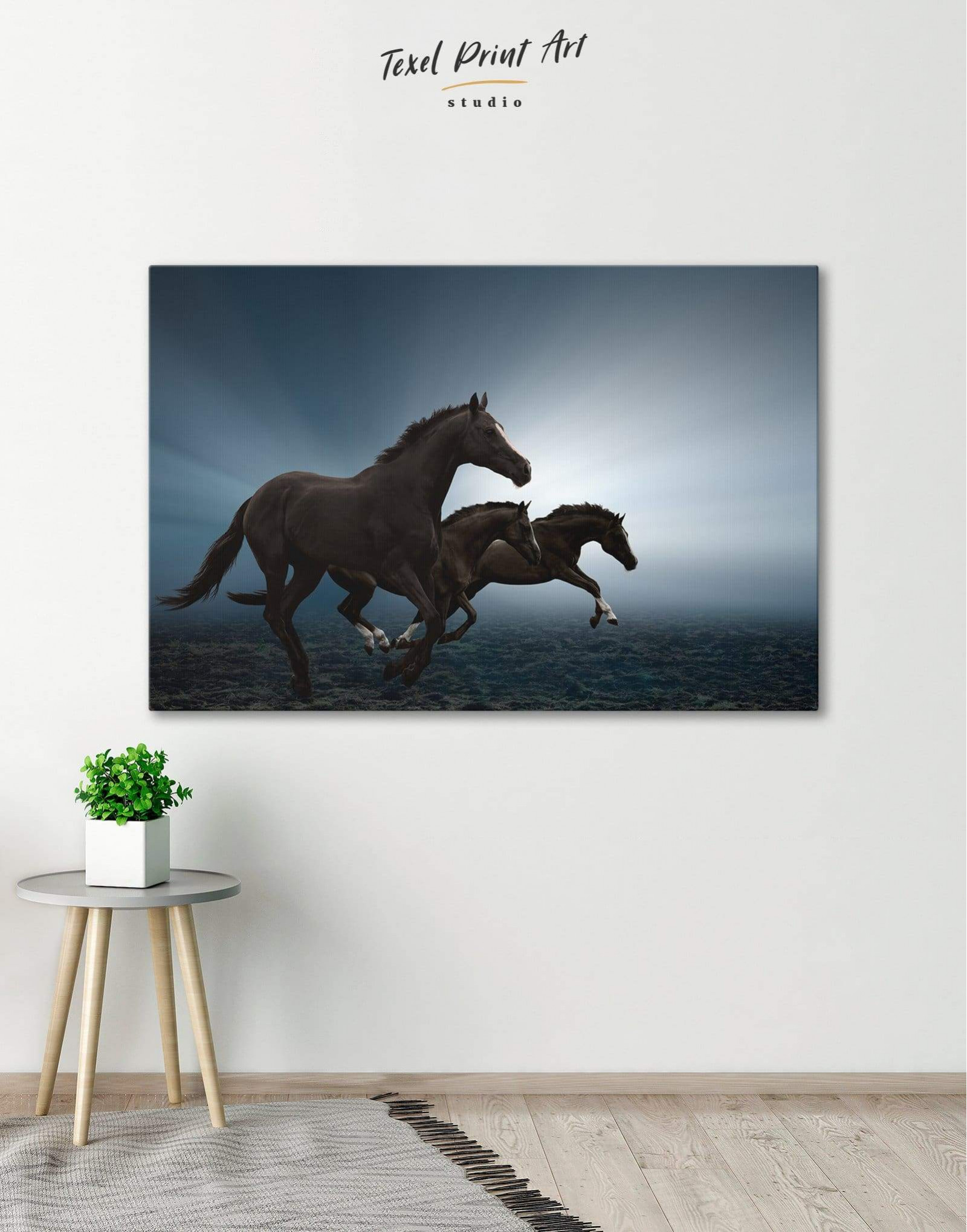A720 Black Horse Grey White Funky Animal Canvas Wall Art Large Picture Prints 