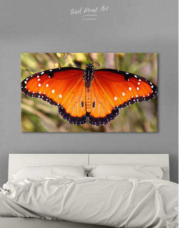 Butterfly with Spread Wings Canvas Wall Art - image 1