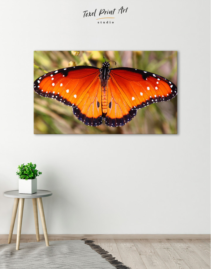 Butterfly with Spread Wings Canvas Wall Art