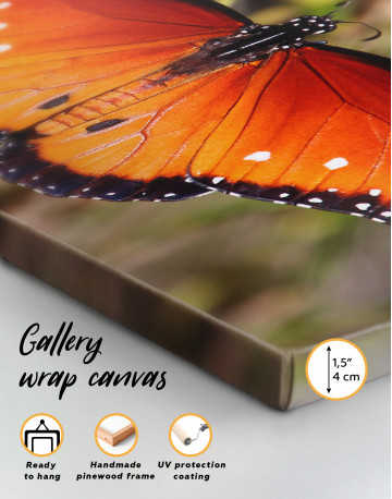 Butterfly with Spread Wings Canvas Wall Art - image 5