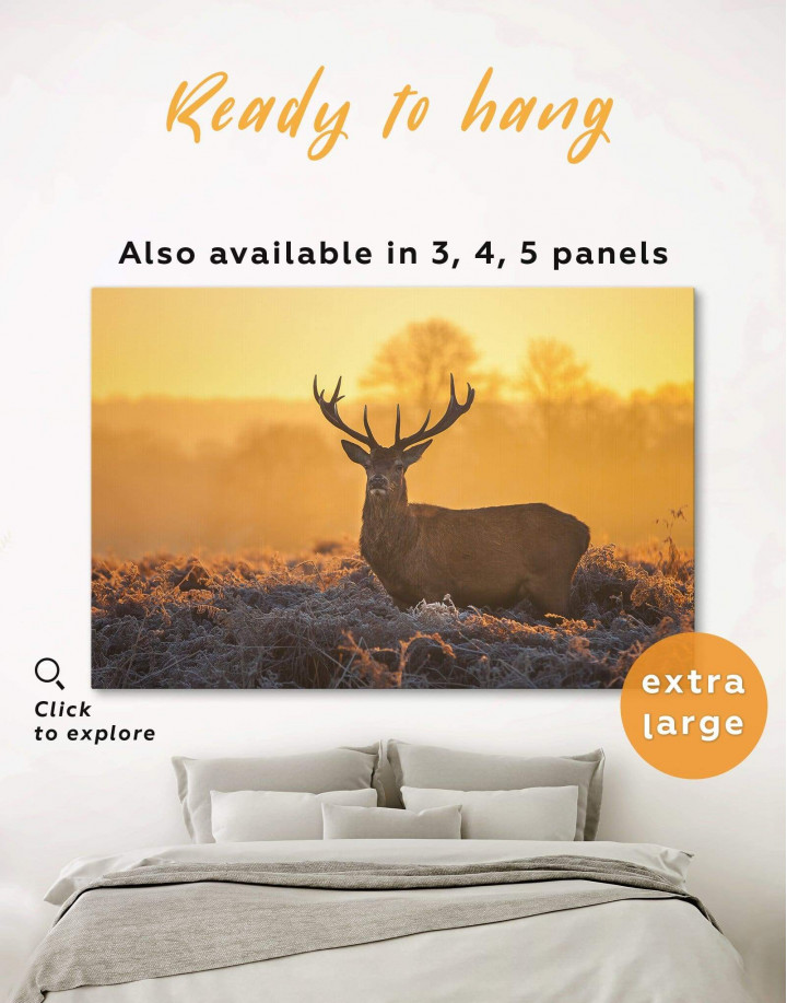 Wild Stag Canvas Wall Art