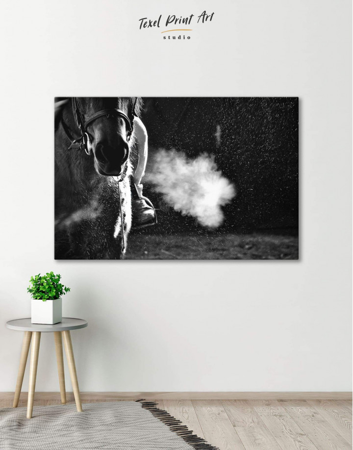 Black and White Horse Canvas Wall Art