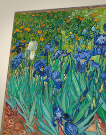 Irises Canvas Wall Art - image 1