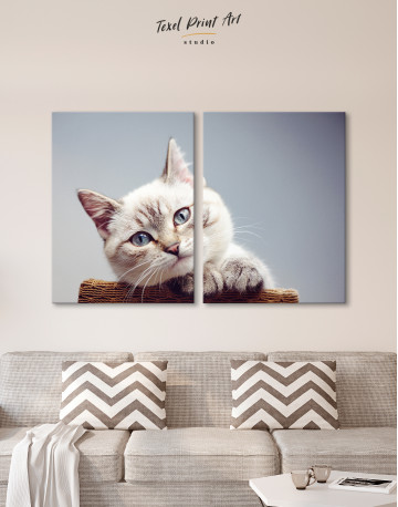 Cute Kitten Canvas Wall Art - image 9