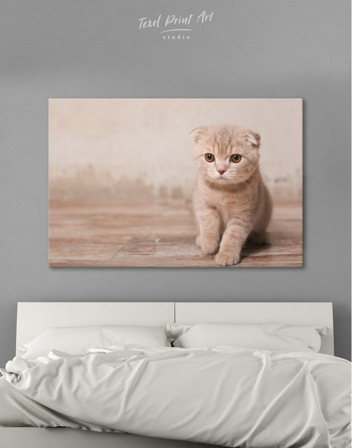 Tan Scottish Fold Kitten Canvas Wall Art