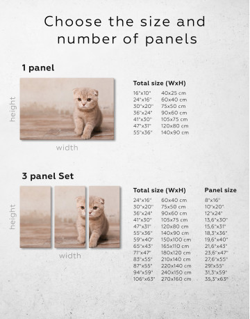 Tan Scottish Fold Kitten Canvas Wall Art - image 8