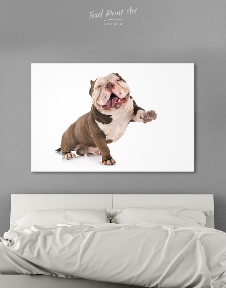 Smiling American Bully Canvas Wall Art