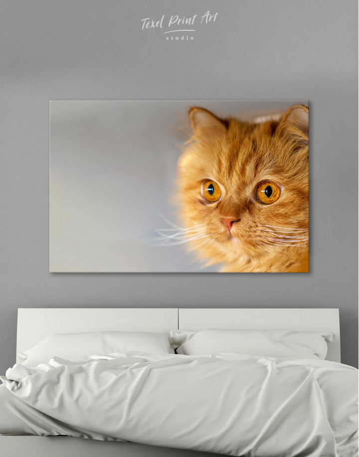 Red Persian Cat Canvas Wall Art