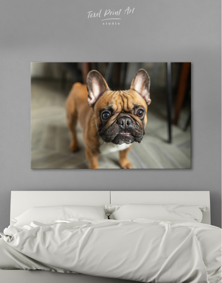 French Bulldog Photography Canvas Wall Art