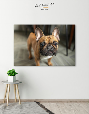 French Bulldog Photography Canvas Wall Art - image 6