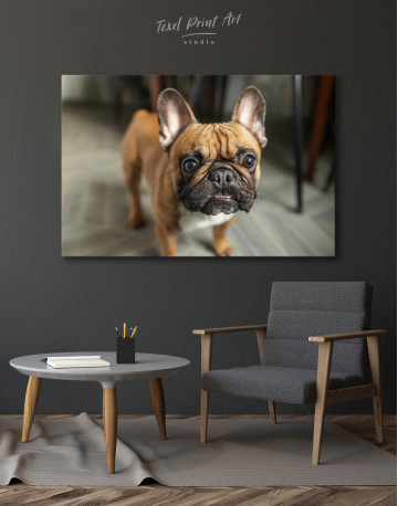 French Bulldog Photography Canvas Wall Art - image 4