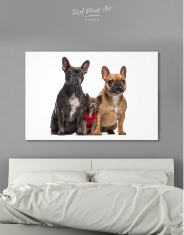 Puppy Chihuahua and French Bulldogs Canvas Wall Art