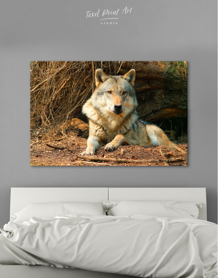 Wild Gray Wolf Canvas Wall Art