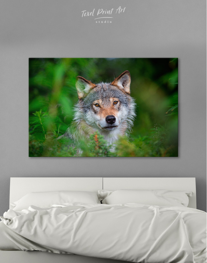 Wolves Glance Canvas Wall Art