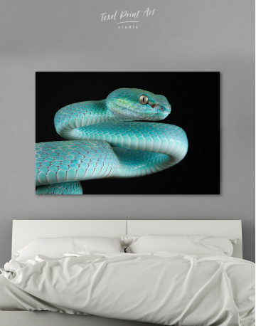 Blue Viper Snake Canvas Wall Art