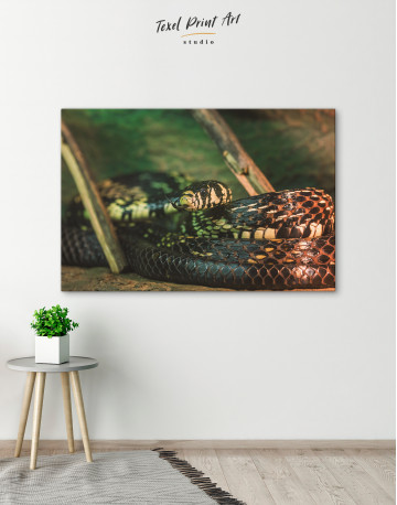 Black Snake Close Up Canvas Wall Art - image 6