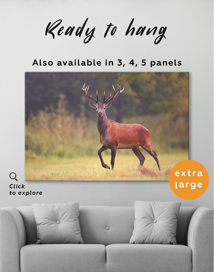 Wild Red Deer on a Meadow Canvas Wall Art