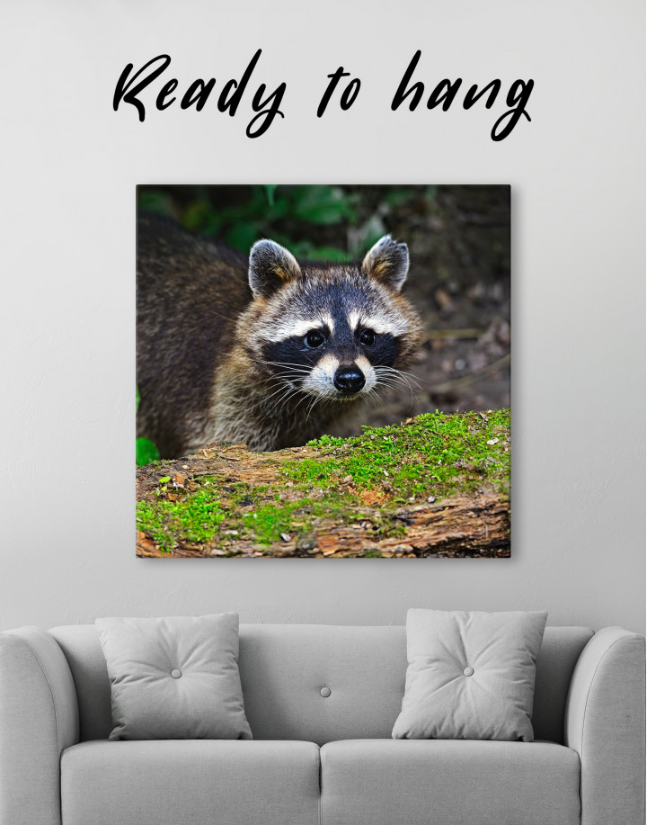 Raccoon in the Forest Canvas Wall Art