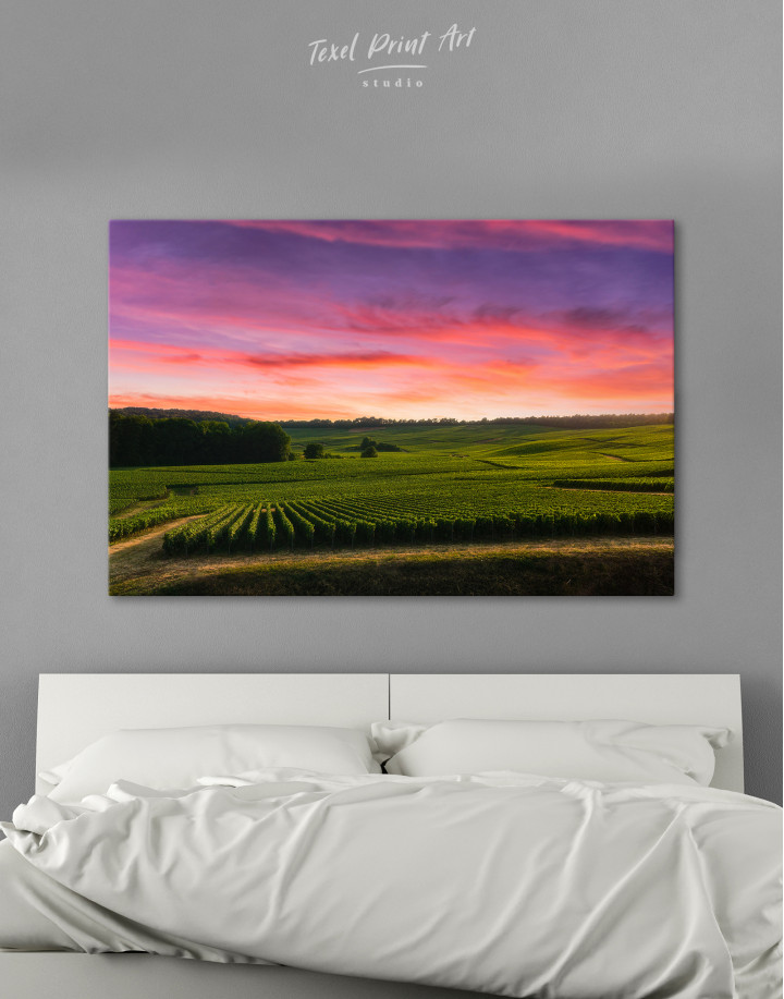 Row vine grape in champagne vineyards at Reims, France Canvas Wall Art