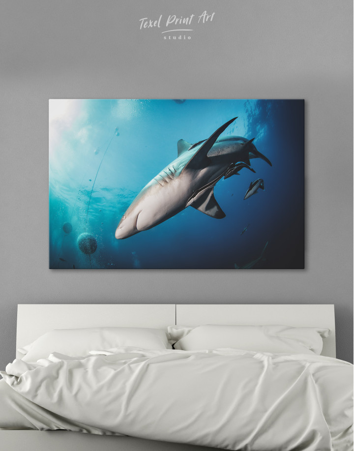 Sharks in underwater world Canvas Wall Art