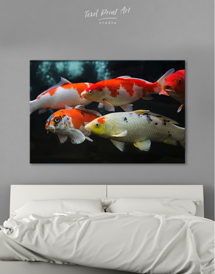 Group of various koi fish Canvas Wall Art