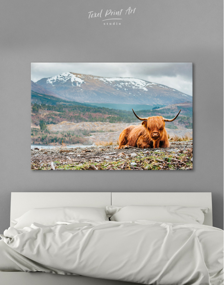 Fluffy highland cow Canvas Wall Art
