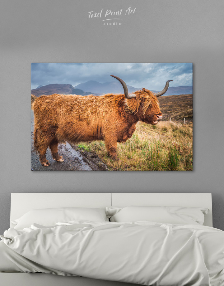 Big horned scottish highland cow Canvas Wall Art