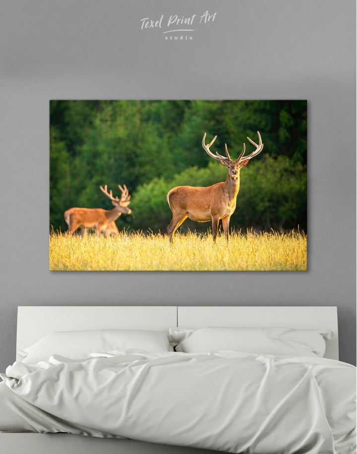 Red deer on a meadow Canvas Wall Art
