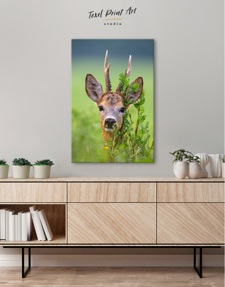 Roe Deer Buck Portrait Canvas Wall Art