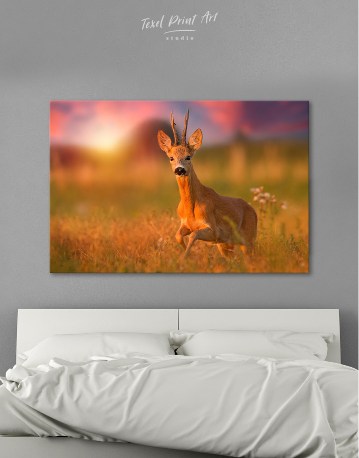 Roe deer buck on a meadow Canvas Wall Art