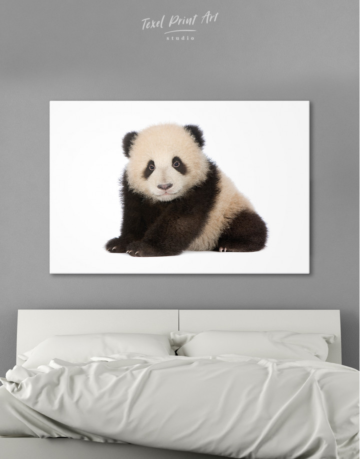 Baby panda Canvas Wall Art