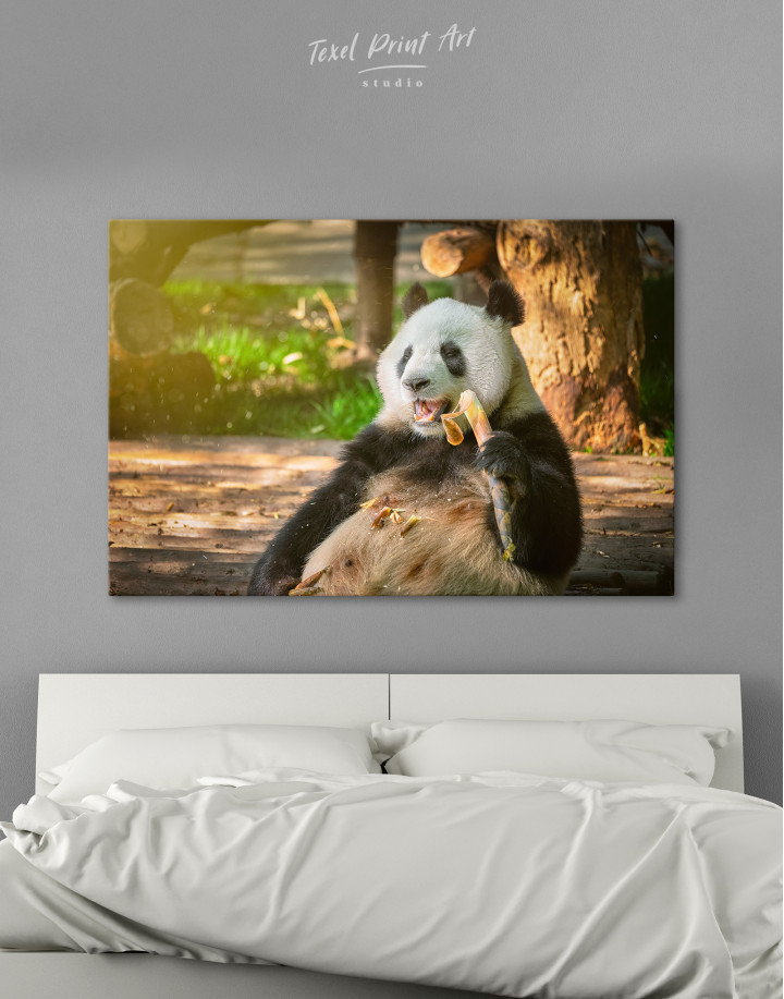 Giant panda bear in china Canvas Wall Art