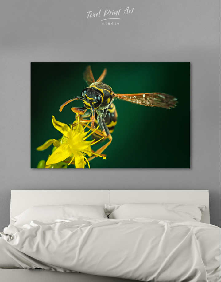 Wasp on Flower Canvas Wall Art
