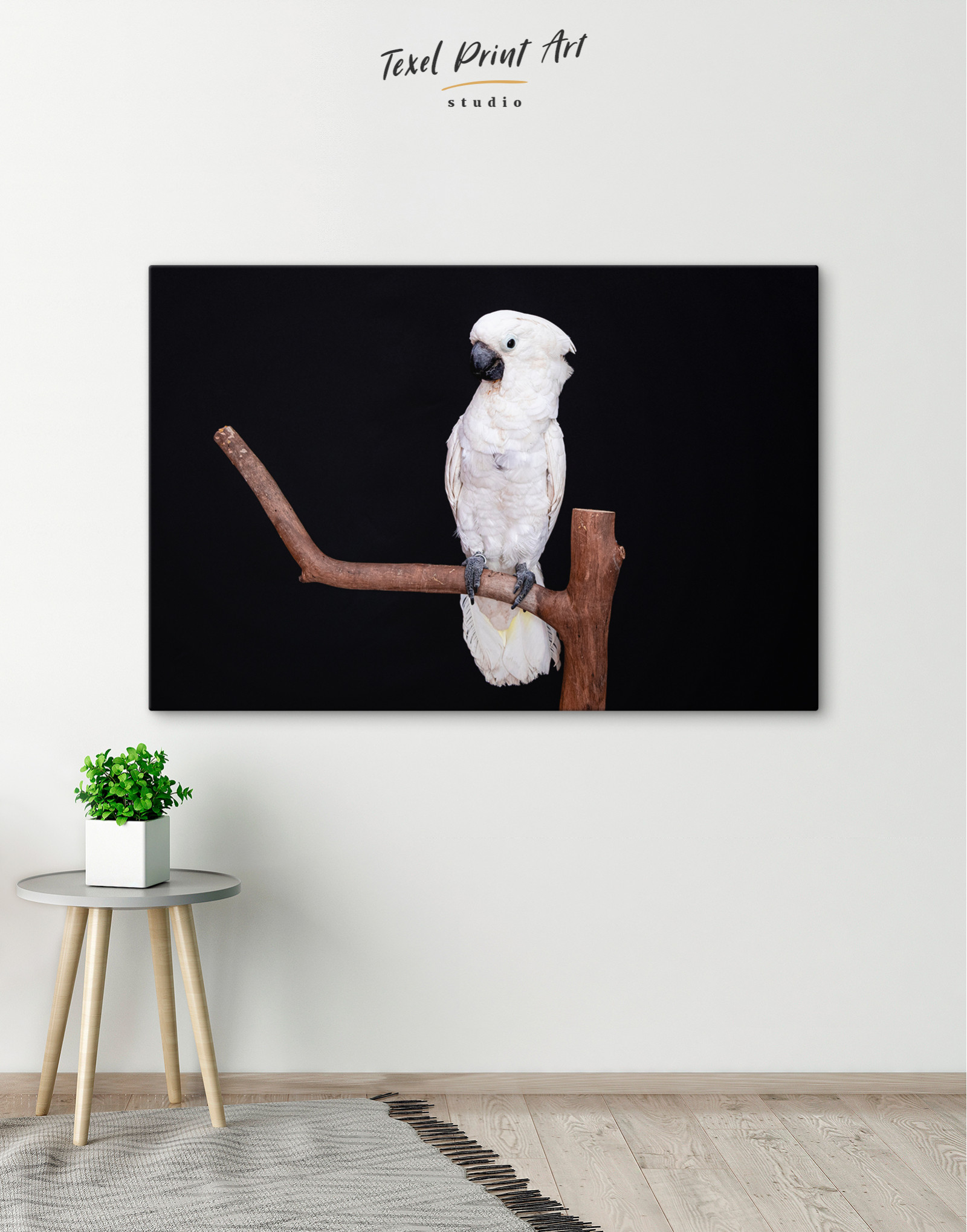 White Cockatoo on a Branch Canvas Wall Art | TexelPrintArt