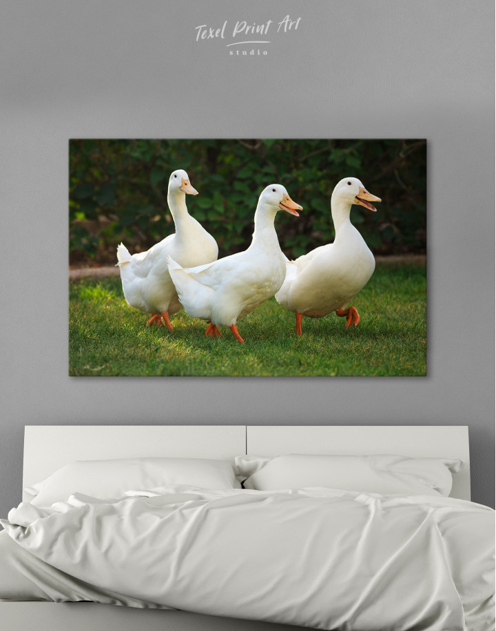 Funny Quacking Ducks Canvas Wall Art