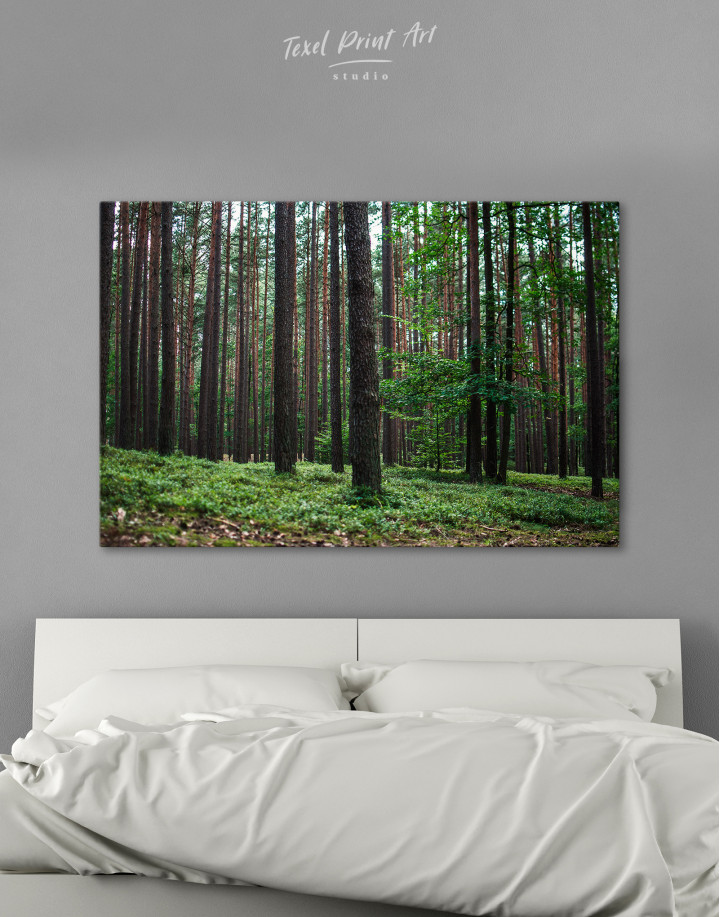 Beautiful Scenery of the Trees in the Forest Canvas Wall Art