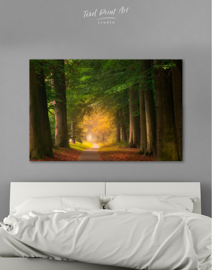 Pathway in the Middle of a Forest Canvas Wall Art