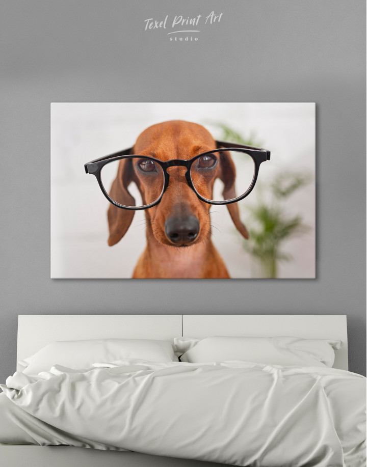 Dachshund with Galsses Canvas Wall Art