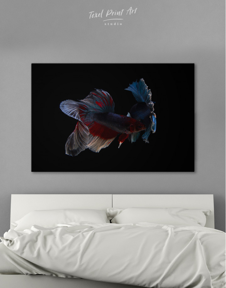 Siamese Fighting Fishes Photo Canvas Wall Art