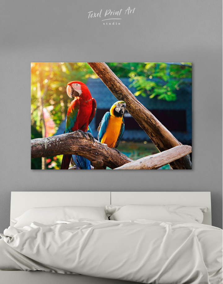 Macaw Parrots Canvas Wall Art