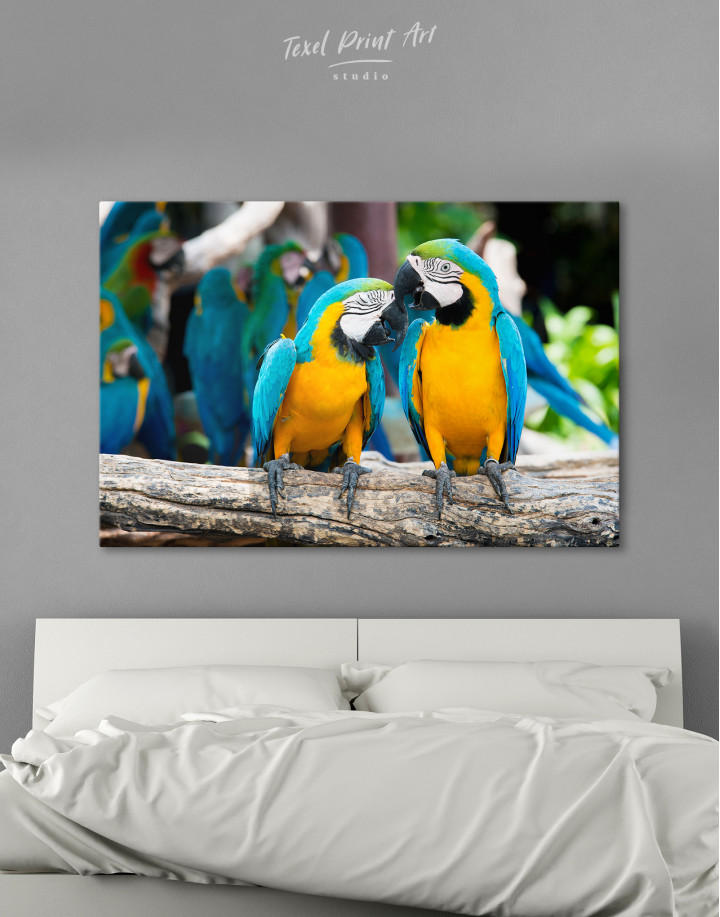 Two Blue and Yellow Macaw Parrots Canvas Wall Art