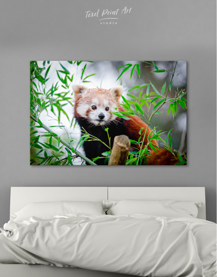 Red Panda Canvas Wall Art