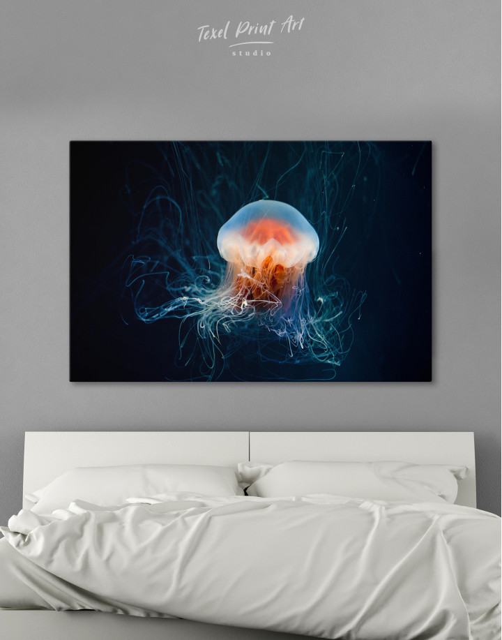 Jellyfish Photo Canvas Wall Art