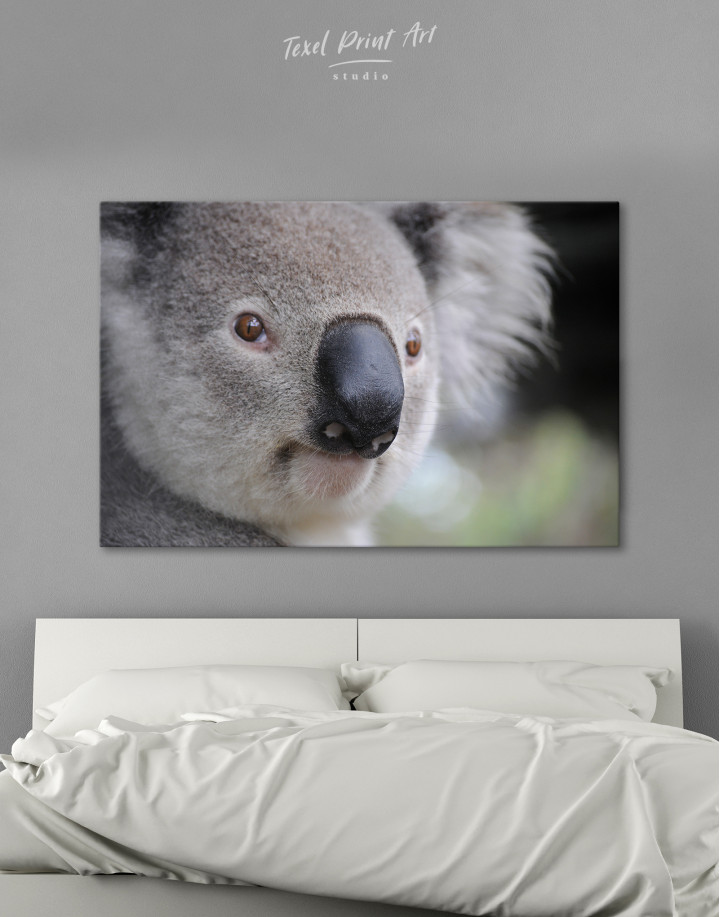 Koala Portrait Canvas Wall Art