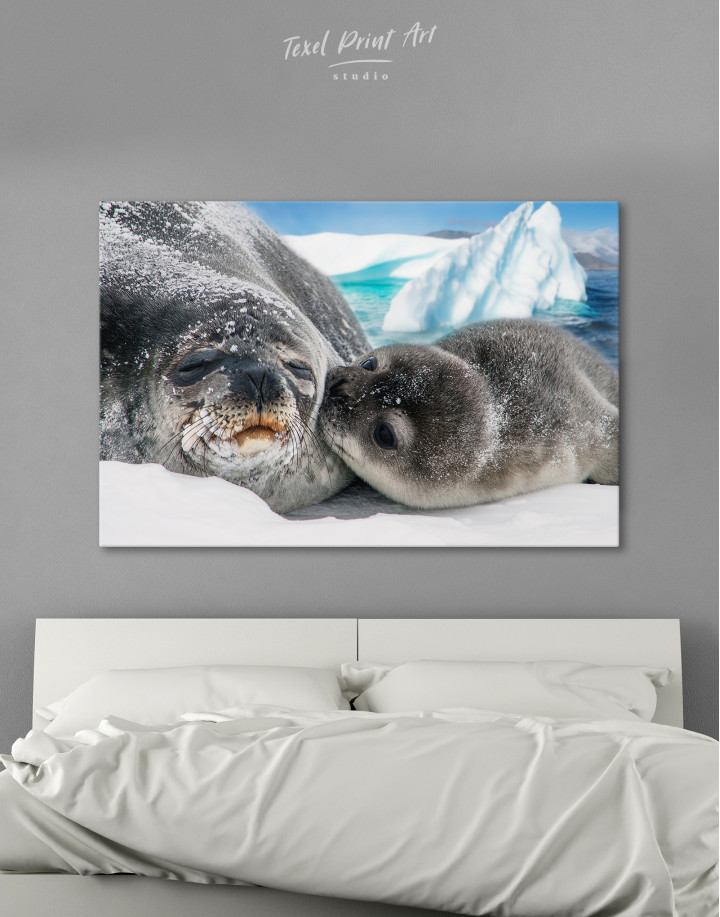 Cute Seals Canvas Wall Art