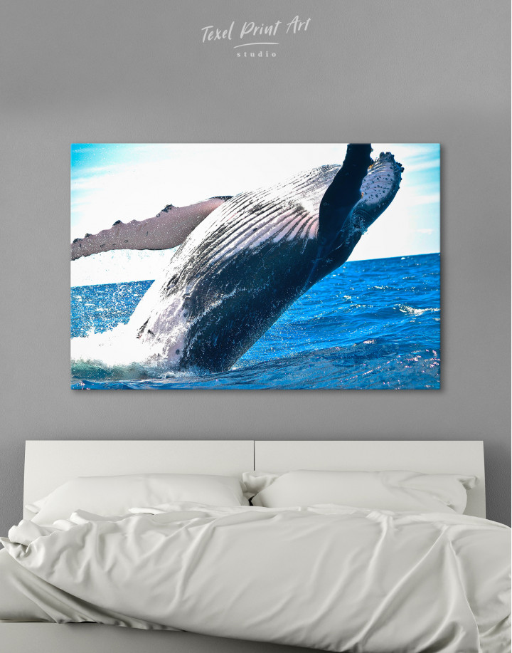 Jumping Whale Canvas Wall Art