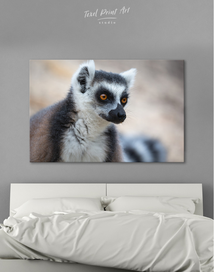 Lemur Photo Canvas Wall Art